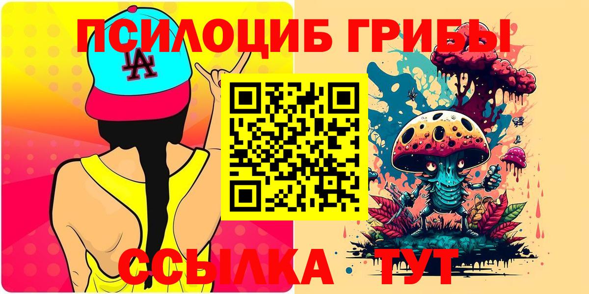 Псилоцибиновые грибы Psilocybe Верхний Уфалей