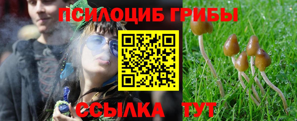 цена наркотик  Псилоцибиновые грибы Cubensis  Вход с VPN  Верхний Уфалей 